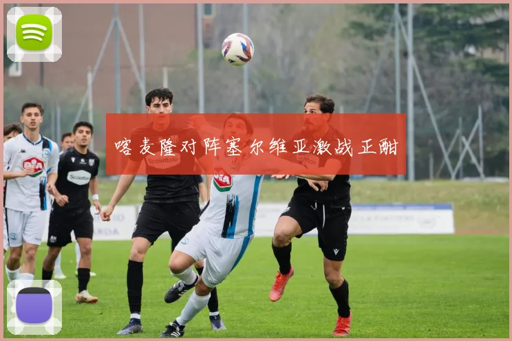 喀麦隆对阵塞尔维亚激战正酣