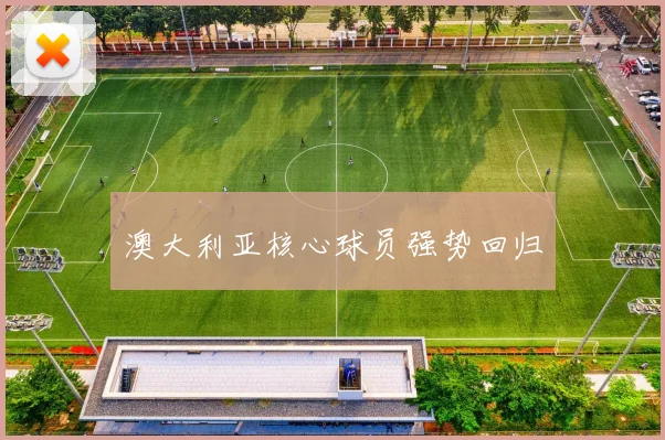 澳大利亚核心球员强势回归