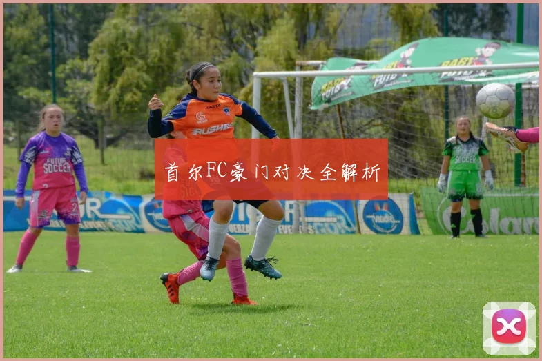 首尔FC豪门对决全解析