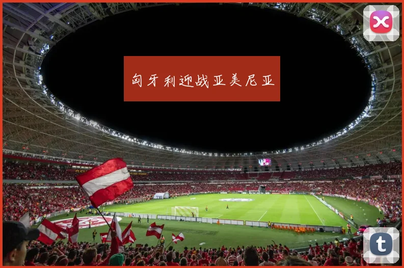 匈牙利迎战亚美尼亚
