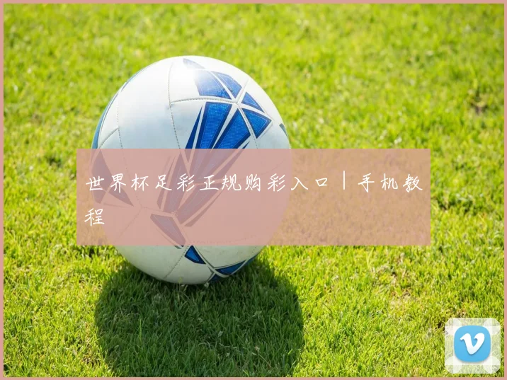 世界杯足彩正规购彩入口｜手机教程