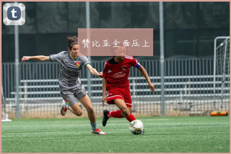 赞比亚全面压上