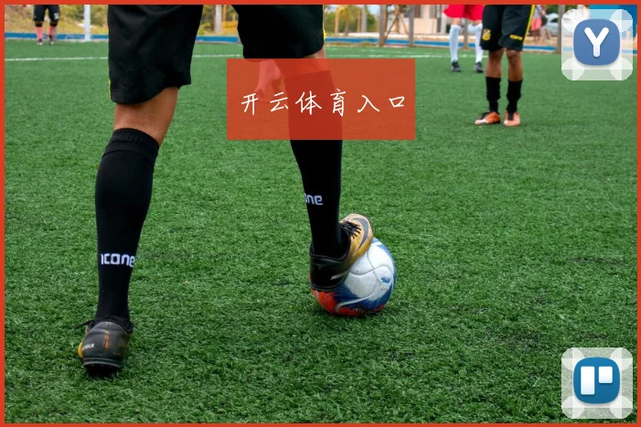 开云体育入口