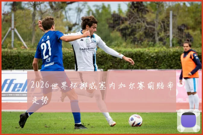 2026世界杯挪威塞内加尔赛前赔率走势