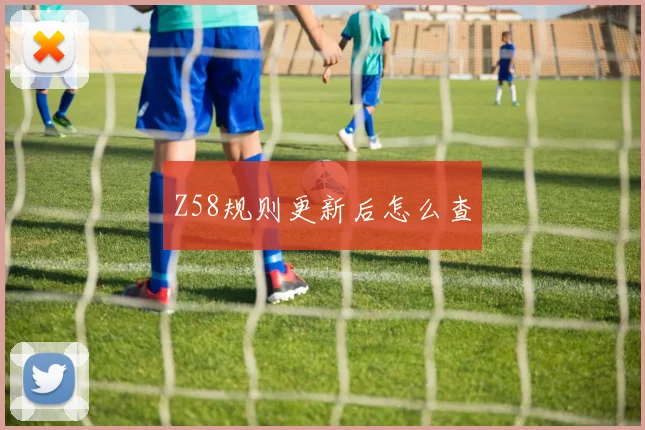 Z58规则更新后怎么查