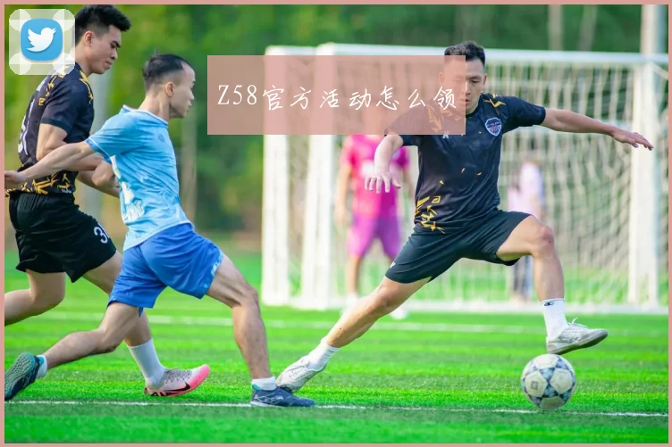 Z58官方活动怎么领