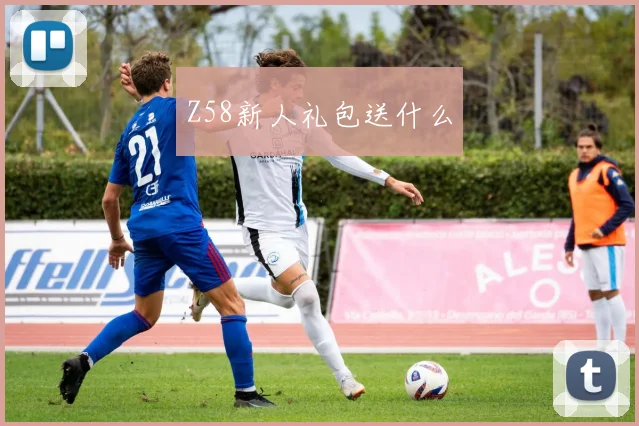 Z58新人礼包送什么