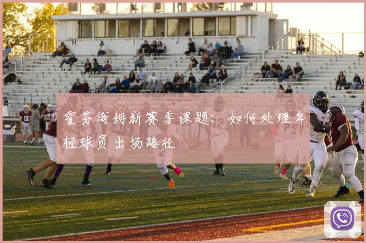霍芬海姆新赛季课题：如何处理年轻球员出场路径