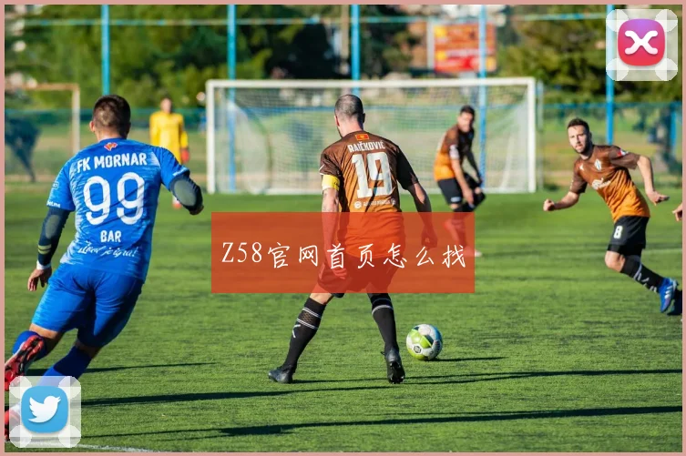 Z58官网首页怎么找