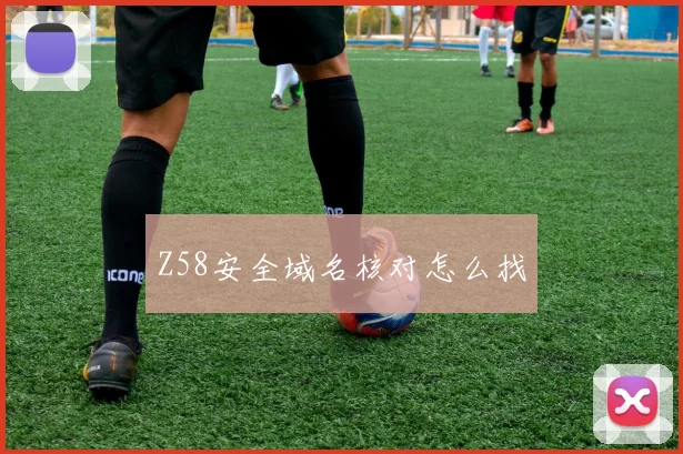 Z58安全域名核对怎么找